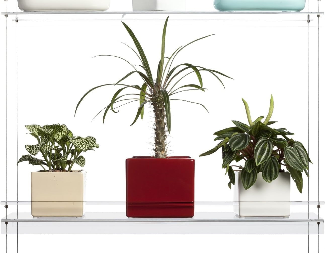 Hanging Window Plant Shelves (4 Shelves)