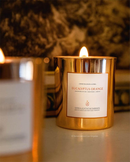 Eucalyptus Orange Wood Wick Candles | Soy Candles, Black Candle for Home | Gifts for Women and Men | Home Fragrance | Aromatherapy | Shelf Decor, Bathroom Freshener | 8Oz, 45 Hour Burn